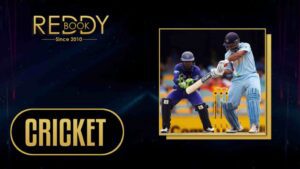 How to Verify Your Reddy Anna ID for Secure Transactions