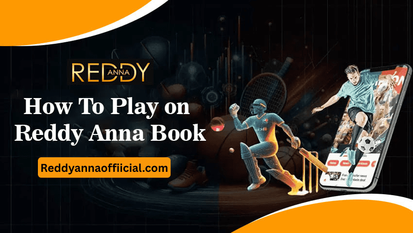 How to Play on the Reddy Anna Book?
