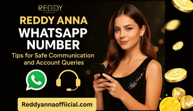 Reddy Anna WhatsApp Number: Tips for Safe Communication and Account Queries